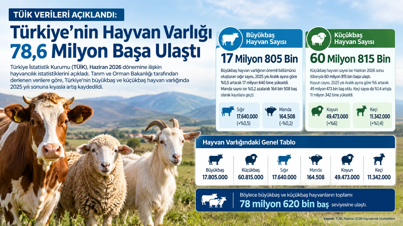 TÜİK Verileri Açıklandı: Türkiye’nin Hayvan Varlığı 78,6 Milyon Başa Ulaştı